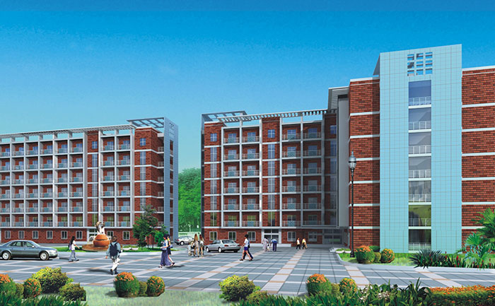 �DƬ���Q(ch��ng)