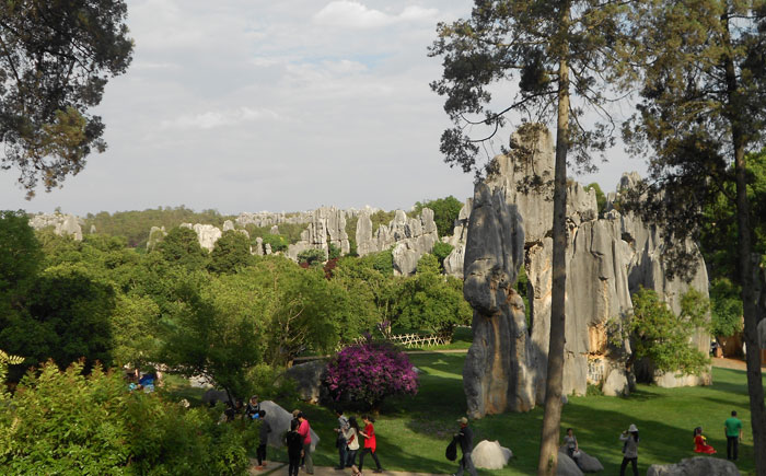 �T�����(d��ng)2