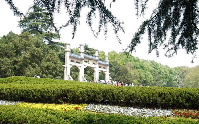 �T�����(d��ng)13