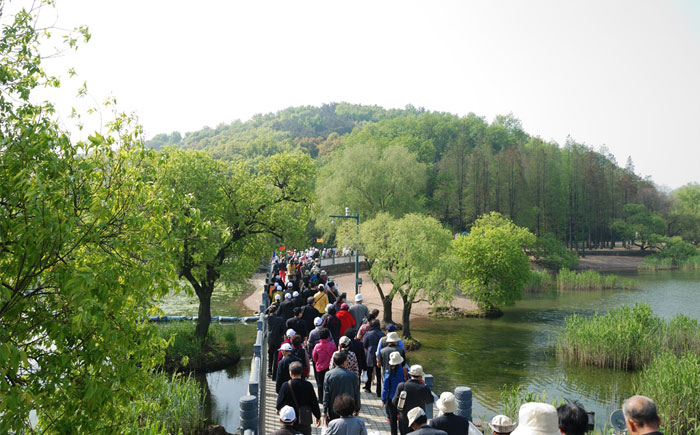 �T�����(d��ng)12